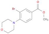 Methyl 3-Bromo-4-morpholinobenzoate