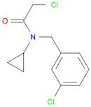 2-Chloro-N-(3-chloro-benzyl)-N-cyclopropyl-acetaMide