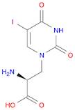 (S)-2-Amino-3-(5-iodo-2,4-dioxo-3,4-dihydropyrimidin-1(2H)-yl)propanoic acid
