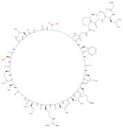 C-TYPE NATRIURETIC PEPTIDE (32-53) (HUMAN, PORCINE, RAT)