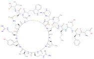 ASP-PHE-ASP-MET-LEU-ARG-CYS-MET-LEU-GLY-ARG-VAL-TYR-ARG-PRO-CYS-TRP-GLN-VAL