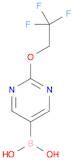 [2-(2,2,2-TRIFLUOROETHOXY)PYRIMIDIN-5-YL]BORONIC ACID