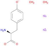 L-TYROSINE DISODIUM SALT