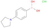 4-(1-PYRROLIDINYL)PHENYLBORONIC ACID HCL