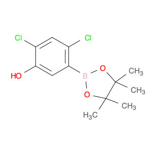 2,4-Dichloro-5-(4,4,5,5-tetramethyl-1,3,2-dioxaborolan-2-yl)phenol