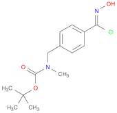 Carbamic acid, N-[[4-[chloro(hydroxyimino)methyl]phenyl]methyl]-N-methyl-, 1,1-dimethylethyl ester