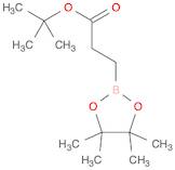 tert-Butyl 3-(4,4,5,5-tetramethyl-[1,3,2]dioxaborolan-2-yl) propionate