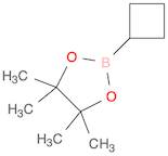 Cyclobutylboronic acid pinacol ester