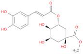 3-O-Caffeoylquinic acid methyl ester