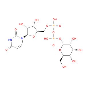 UDP-glucose