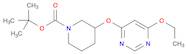 3-(6-Ethoxy-pyriMidin-4-yloxy)-piperidine-1-carboxylic acid tert-butyl ester