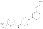 [1-(6-Ethoxy-pyriMidin-4-yl)-piperidin-4-yl]-carbaMic acid tert-butyl ester