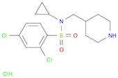 2,4-Dichloro-N-cyclopropyl-N-piperidin-4-ylMethyl-benzenesulfonaMide hydrochloride