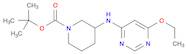 3-(6-Ethoxy-pyriMidin-4-ylaMino)-piperidine-1-carboxylic acid tert-butyl ester