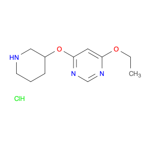 4-Ethoxy-6-(piperidin-3-yloxy)-pyriMidine hydrochloride