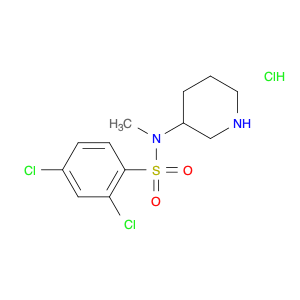 2,4-Dichloro-N-Methyl-N-piperidin-3-yl-benzenesulfonaMide hydrochloride