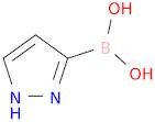 1H-Pyrazol-3-ylboronic acid