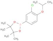 3-Choloro-4-isoproxyphenylboronic acid pinacol ester