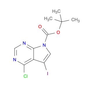 4-Chloro-5-iodo-pyrrolo[2,3-d]pyriMidine-7-carboxylic acid tert-butyl ester