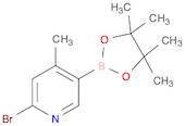 6-Bromo-4-methylpyridine-3-boronic acid pinacol ester