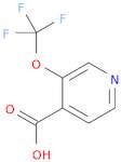 3-(Trifluoromethoxy)isonicotinic acid