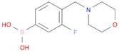 3-fluoro-4-(MorpholinoMethyl)phenylboronic acid