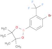 4-Bromo-3-(trifluoromethyl)phenylboronic acid pinacol ester