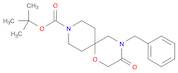 tert-butyl 4-benzyl-3-oxo-1-oxa-4,9-diazaspiro[5.5]undecane-9-carboxylate