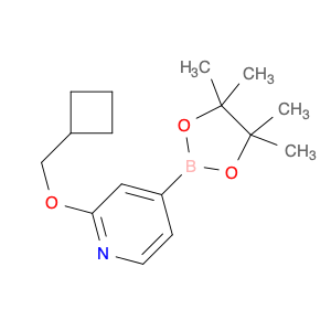 2-(cyclobutylmethoxy)-4-(4,4,5,5-tetramethyl-1,3,2-dioxaborolan-2-yl)pyridine