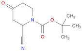 (S)-tert-butyl 2-cyano-4-oxopiperidine-1-carboxylate