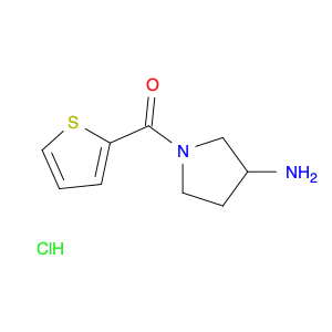 (3-AMino-pyrrolidin-1-yl)-thiophen-2-yl-Methanone hydrochloride