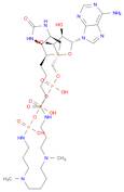 ATP-polyamine-biotin