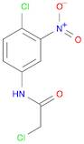 2-CHLORO-N-(4-CHLORO-3-NITROPHENYL)ACETAMIDE