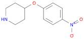 4-(4-NITRO-PHENOXY)-PIPERIDINE