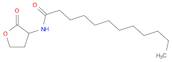 N-(2-Oxotetrahydrofuran-3-yl)dodecanamide