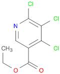 4,5,6-TRICHLORONICOTINIC ACID ETHYL ESTER