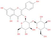 kaempferol 3-O-sophoroside