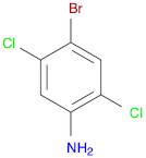 4-Bromo-2,5-dichlorobenzenamine