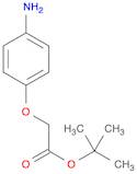 TERT-BUTYL (4-AMINOPHENOXY)ACETATE