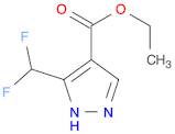 ETHYL 3-(DIFLUOROMETHYL)-1H-PYRAZOLE-4-CARBOXYLATE