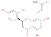 Leachianone G