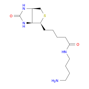 N-(4-AMinobutyl)biotinaMide