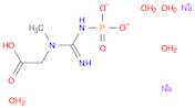 CREATINE PHOSPHATE DISODIUM SALT HEXAHYDRATE