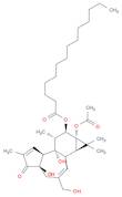 PHORBOL 12-MYRISTATE 13-ACETATE