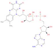 FLAVIN ADENINE DINUCLEOTIDE