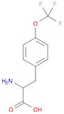 2-AMINO-3-(4-TRIFLUOROMETHOXY-PHENYL)-PROPIONIC ACID