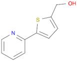 [5-(2-PYRIDINYL)-2-THIENYL]METHANOL