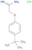 2-[4-(TERT-BUTYL)PHENOXY]ETHANIMIDAMIDE HYDROCHLORIDE