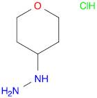 (tetrahydro-pyran-4-yl)-hydrazine hydrochloride