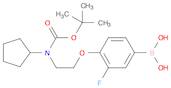 (4-(2-((tert-butoxycarbonyl)(cyclopentyl)aMino)ethoxy)-3-fluorophenyl)boronic acid